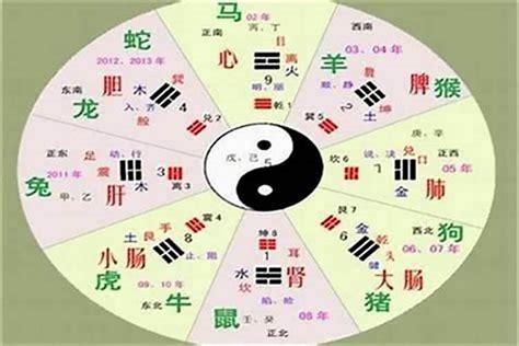 思字五行|思字的五行属性